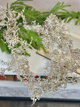 6' Sparkling Angel Fern Garland