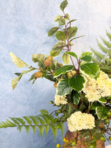29" Casual Gold Raspberry Drop-In