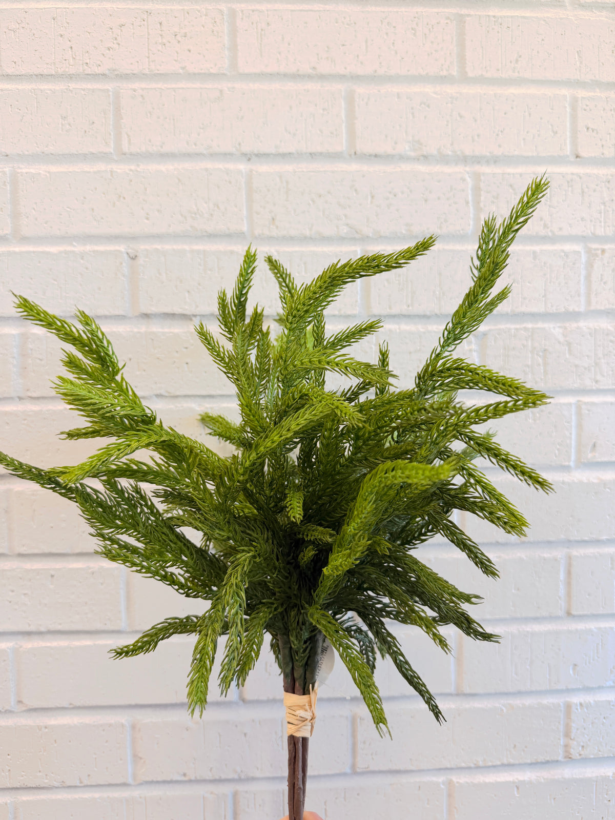 Real Touch Norfolk Pine Bundle