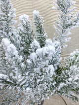 Winterfest Snowed Pine Spray