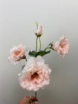 Soft Pink Lisianthus Spray