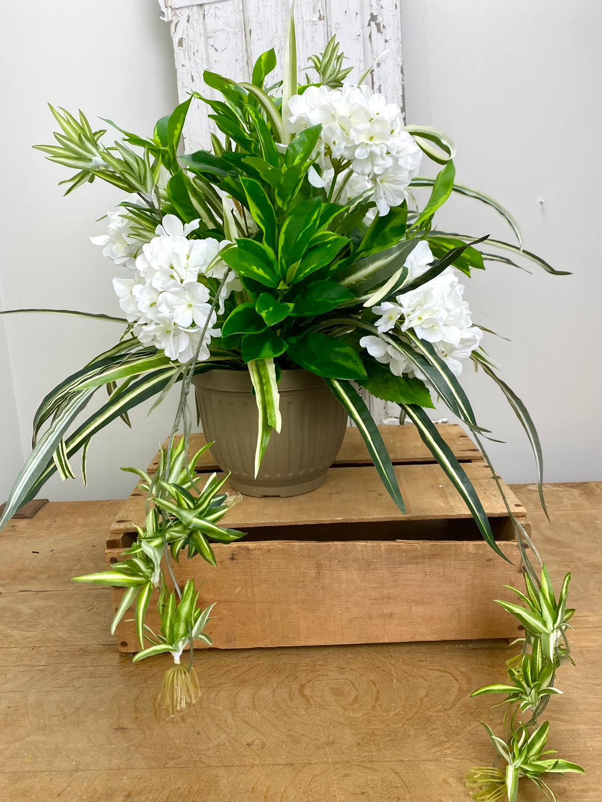 21" UV Protect Hydrangea and Spider Plant Pot-Filler