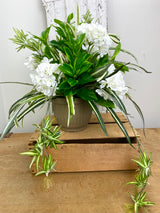 21" UV Protect Hydrangea and Spider Plant Pot-Filler