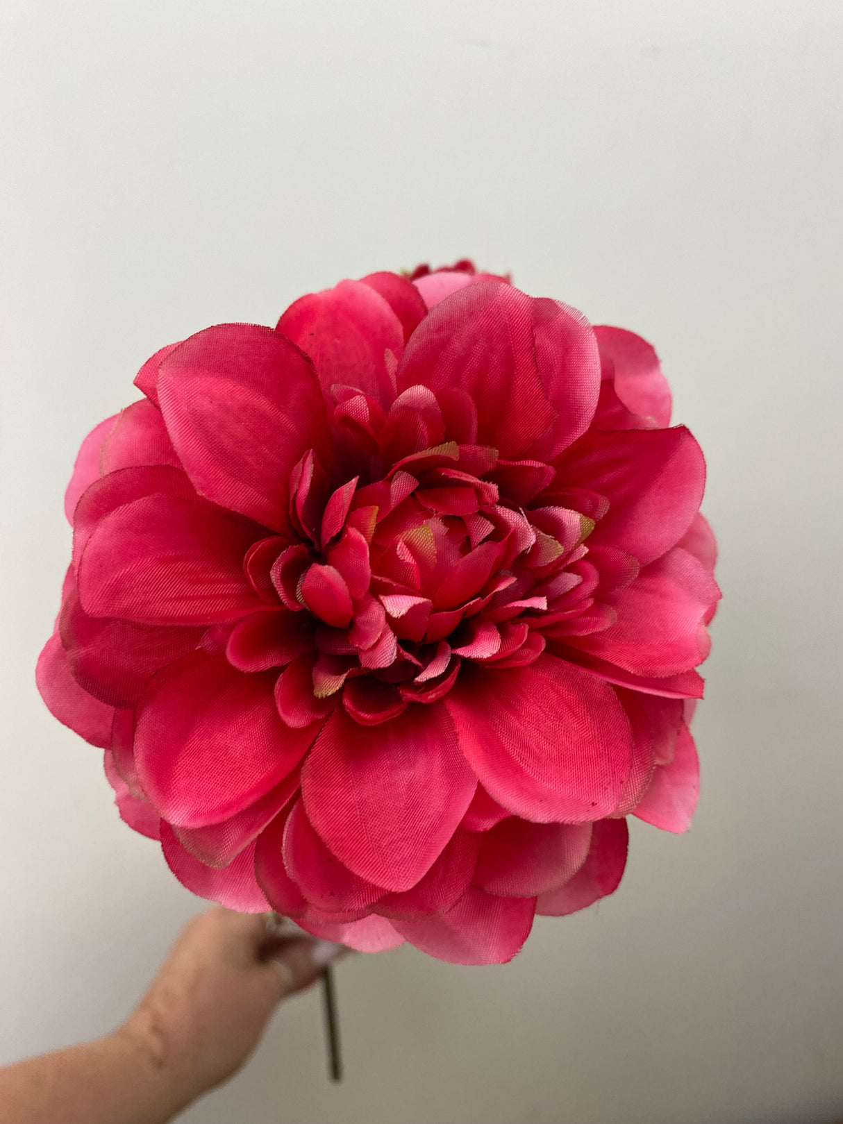 Magenta Dahlia Spray