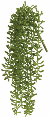 UV Protect String Of Fishooks Spray