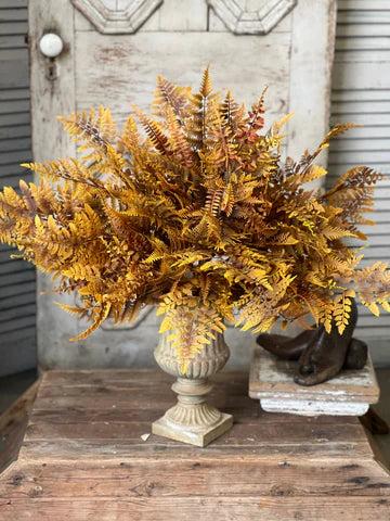 Liberty Fern Bush