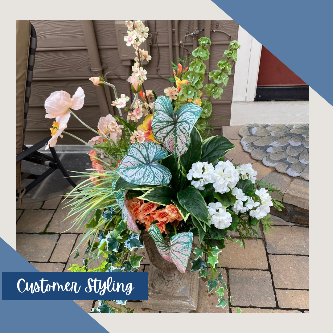 Pacific Grove Zebra Grass Bush