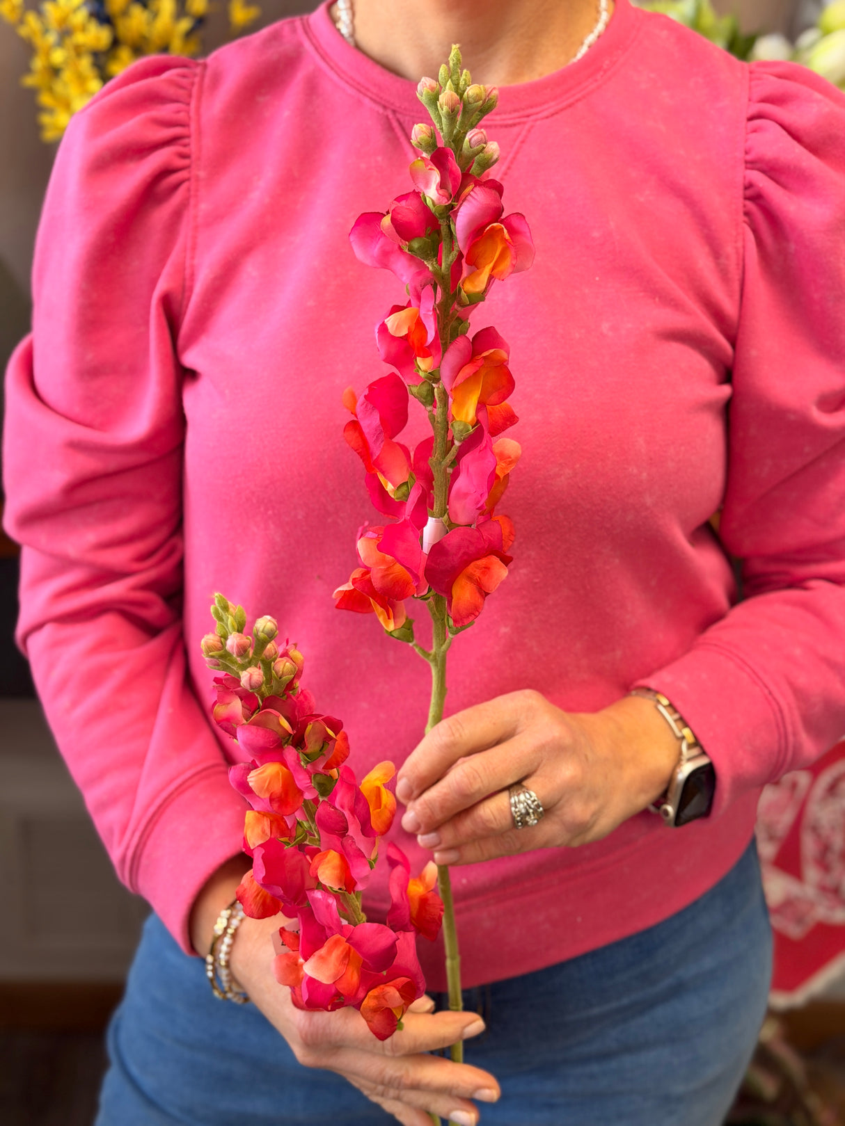 Beauty Snapdragon Spray