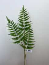 Deep Forest Fern Spray