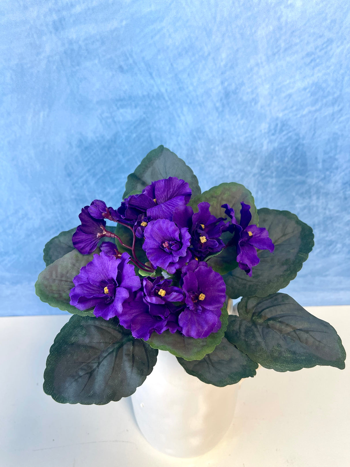 Deep Purple Violet Bush