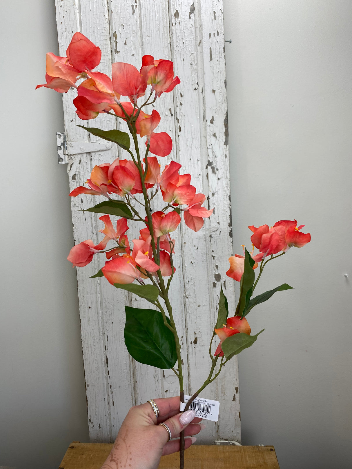 Coral UV Protect Bougainvillea Spray