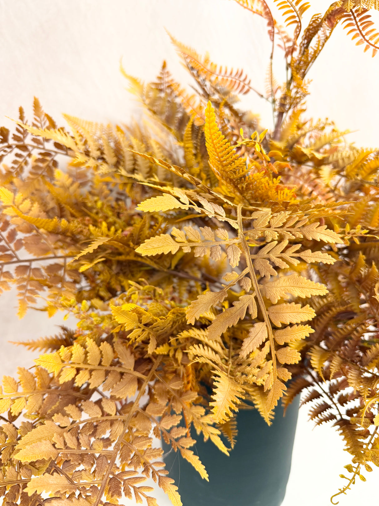 Liberty Fern Bush