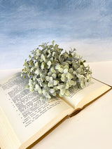 Pebble Eucalyptus Half Sphere