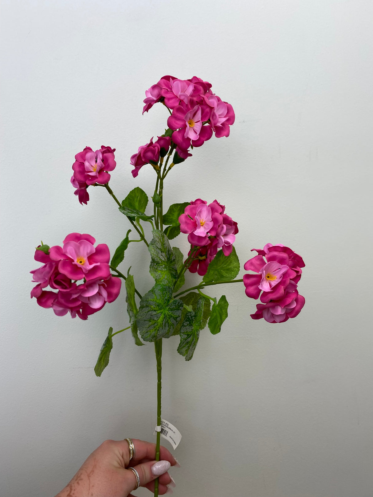 New Day Fuchsia Geranium Spray