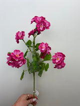 New Day Fuchsia Geranium Spray
