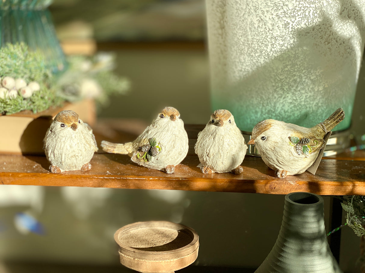 Winter Wing Bird