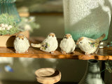 Winter Wing Bird