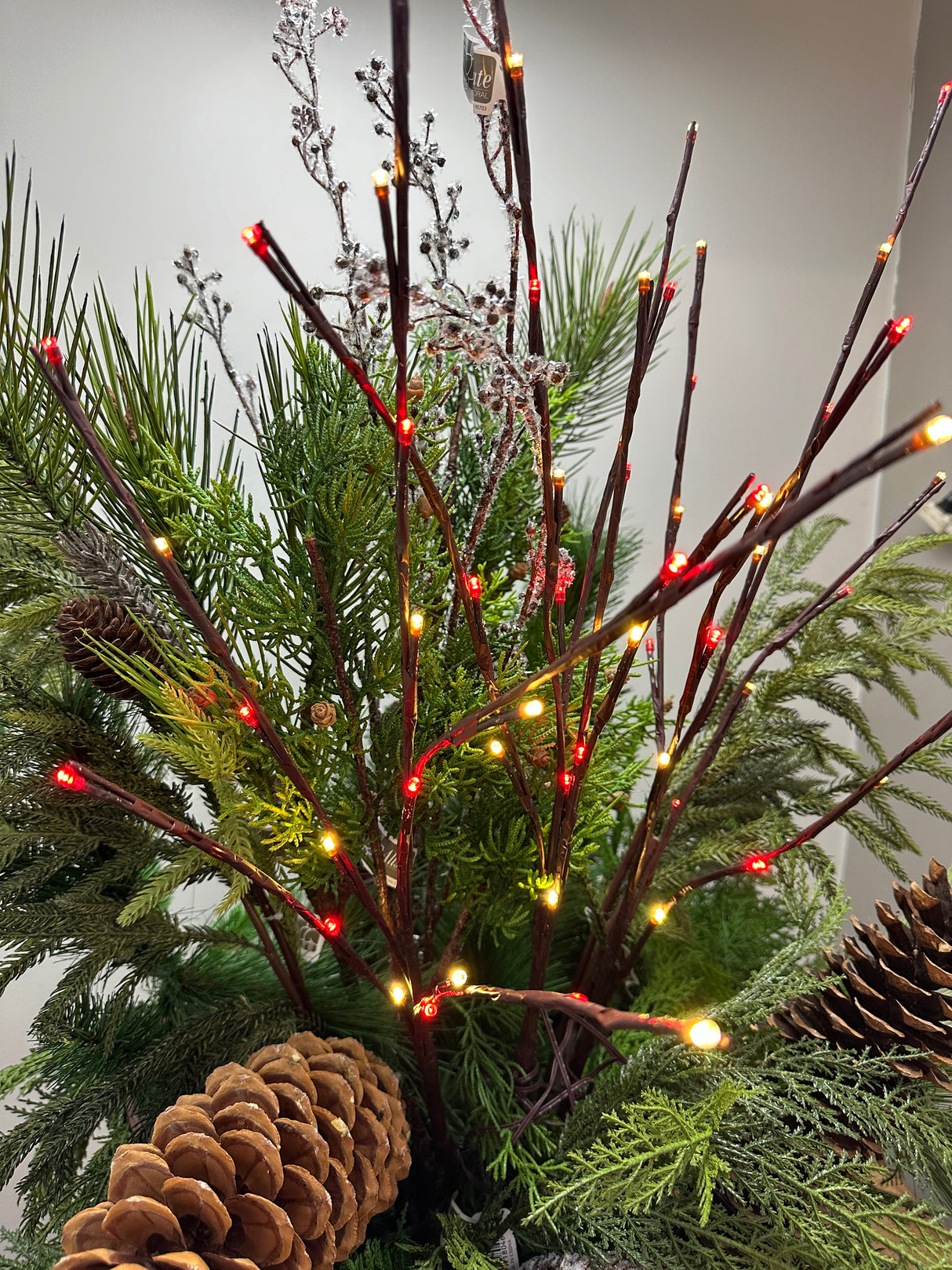 Outdoor Red & White Lighted Branch Set - Plug In