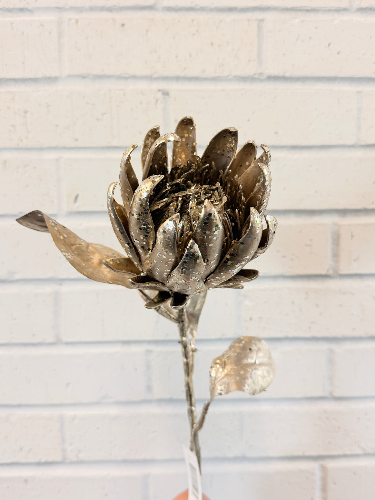 Champagne Holiday Protea