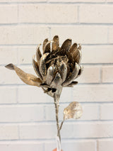 Champagne Holiday Protea