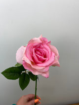 Blossom Pink Rose Stem