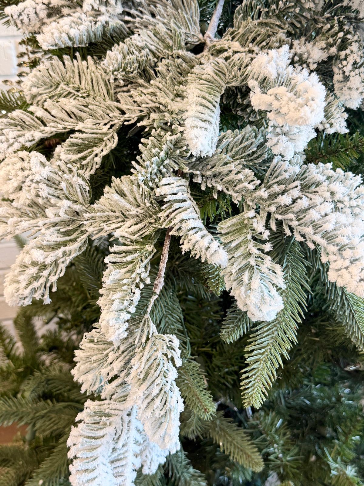 Snow Noble Pine Branch