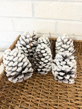 Natural Snow Pine Cone Bag