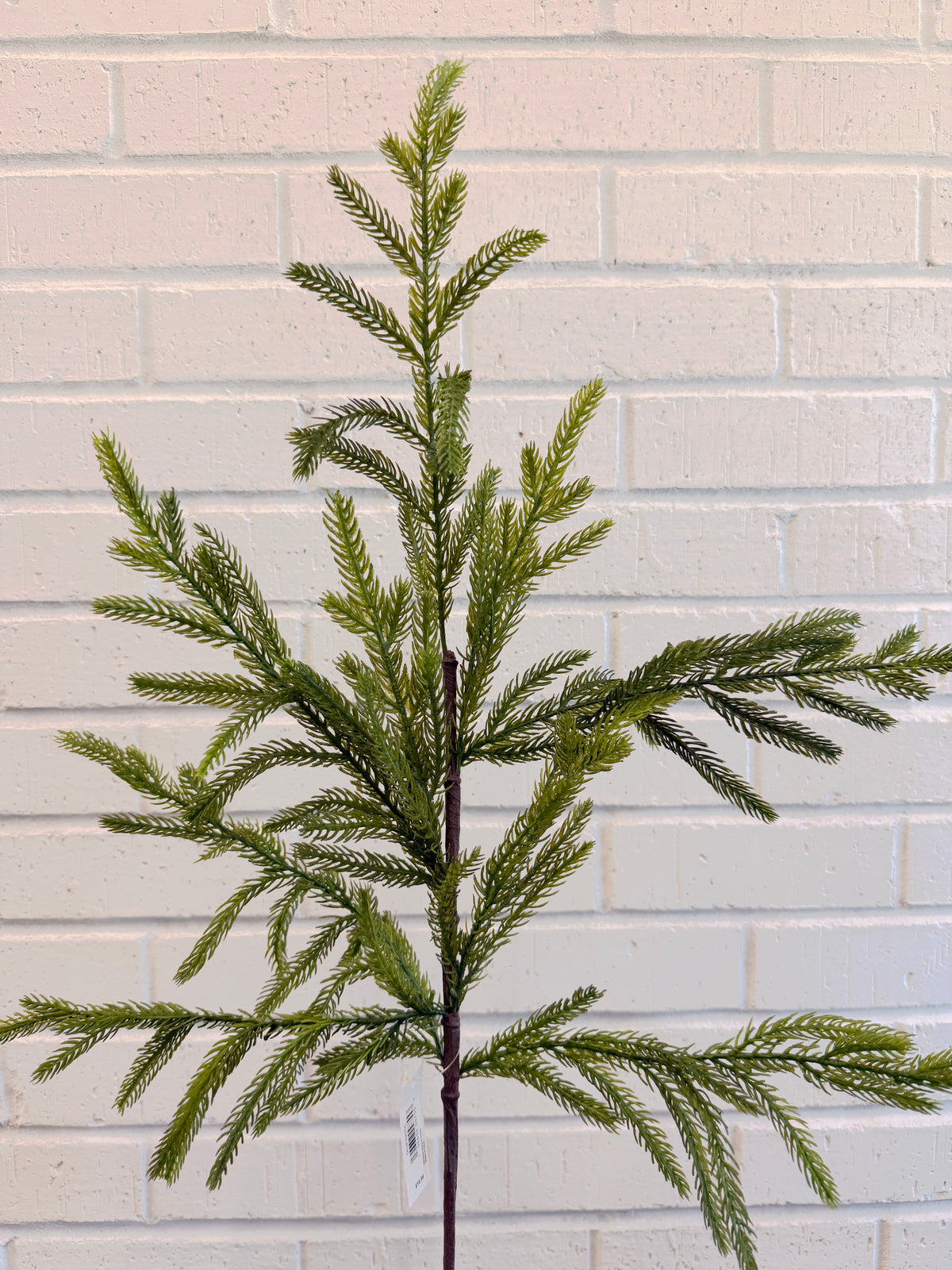 Winterland Real Touch Norfolk Pine Stem