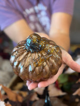 Cortland Glass Curly Stem Pumpkin