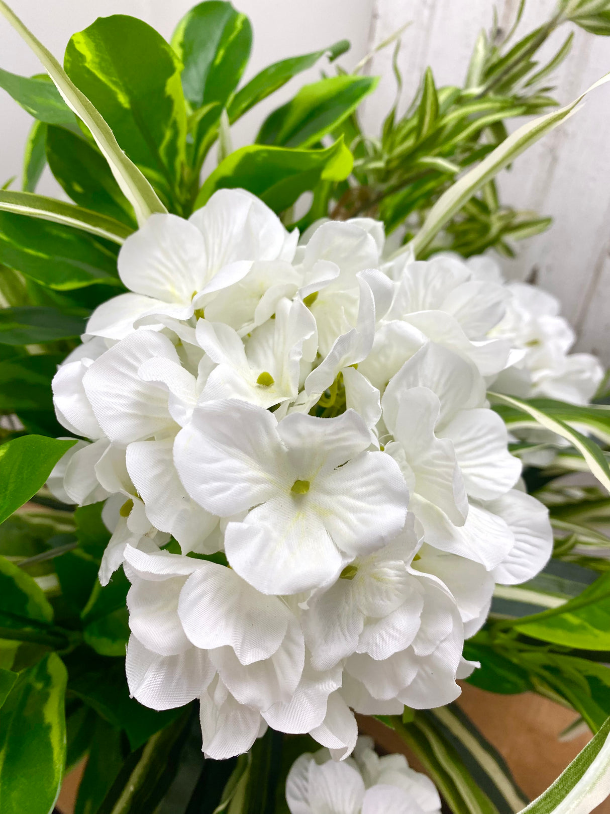 21" UV Protect Hydrangea and Spider Plant Pot-Filler