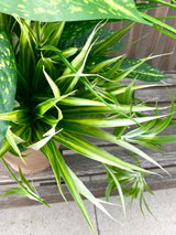 28" Restful Green Porch Pot