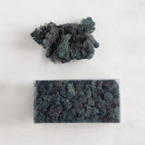 Dyed Riccia Fluitans Moss Box