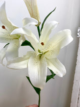 UV Protect White Tiger Lily Spray