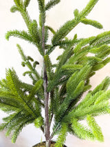 36" Potted Real Touch Norway Spruce Tree