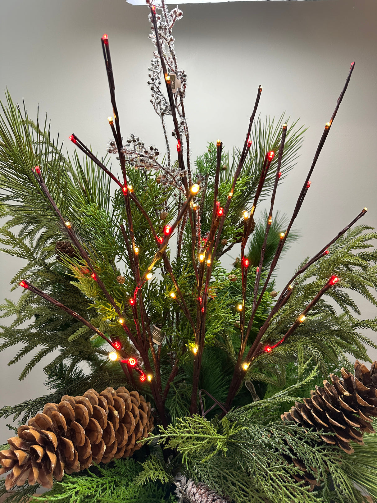 Outdoor Red & White Lighted Branch Set - Plug In