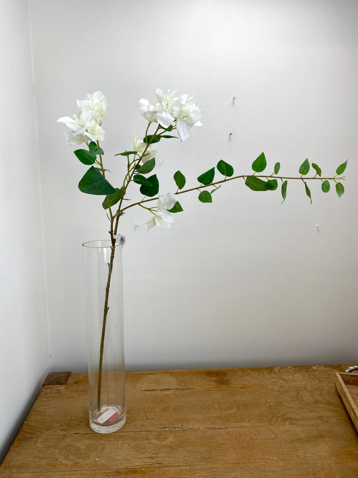 Greenhouse Cream Bougainvillea Spray