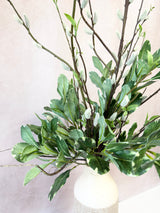 36" Willow Beauty Drop-In