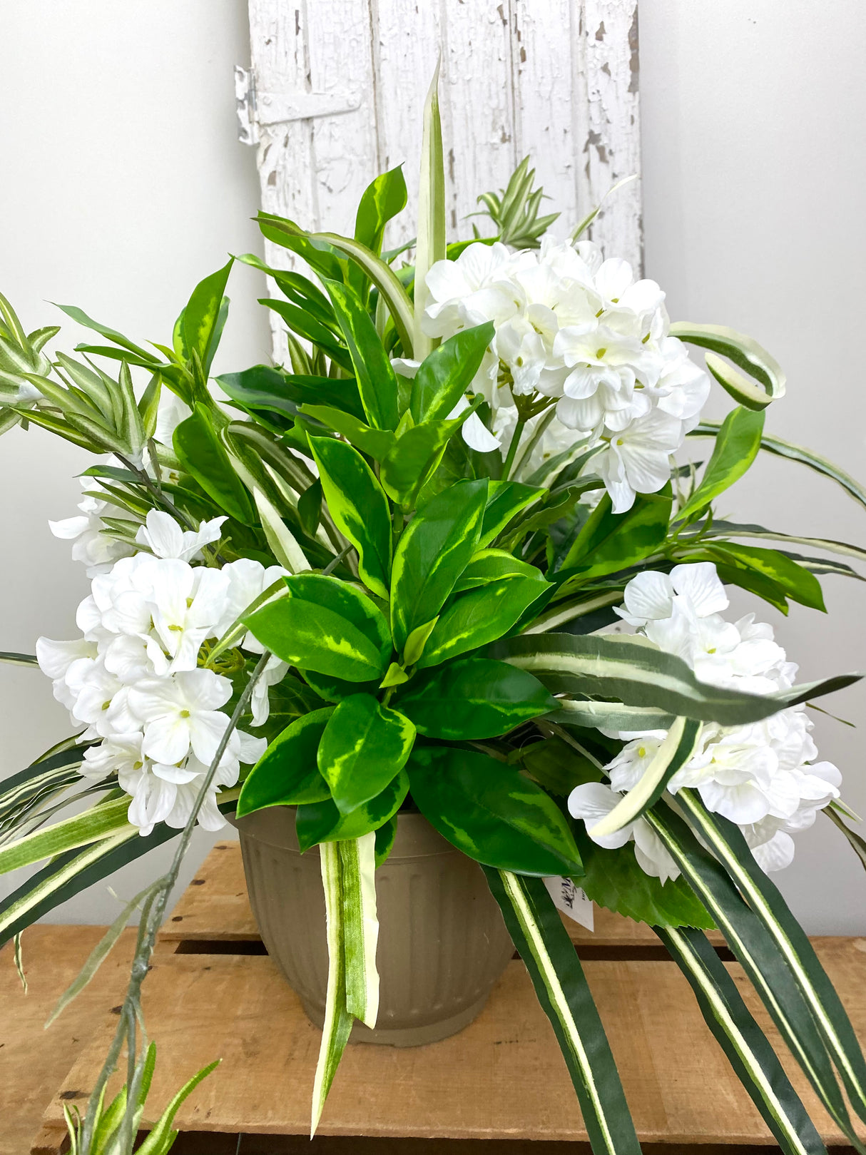 21" UV Protect Hydrangea and Spider Plant Pot-Filler