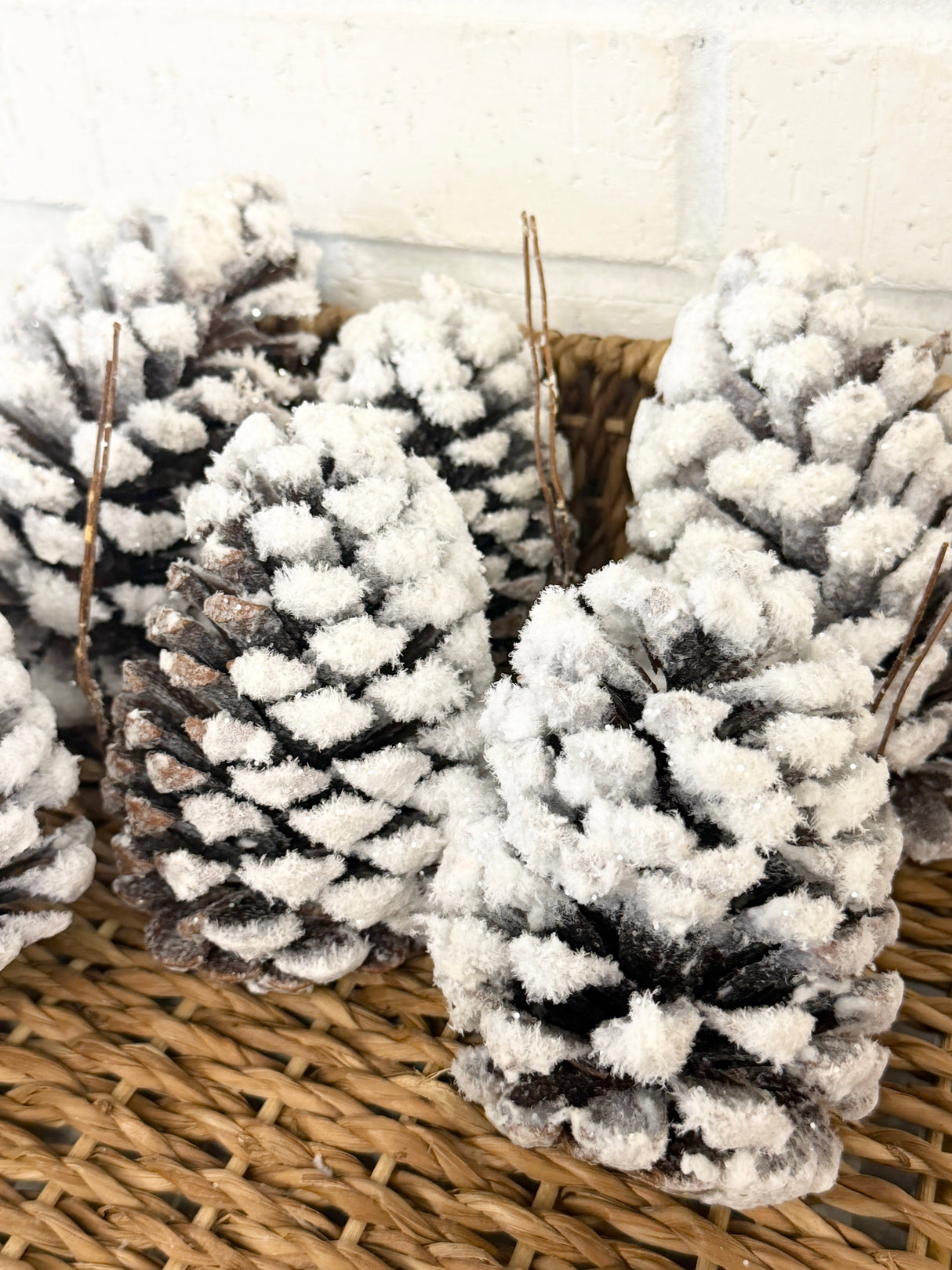 Natural Snow Pine Cone Bag