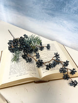 Blue Berry White Sugar Spruce Spray