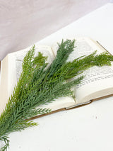 So Cold Real Touch Pine Stem