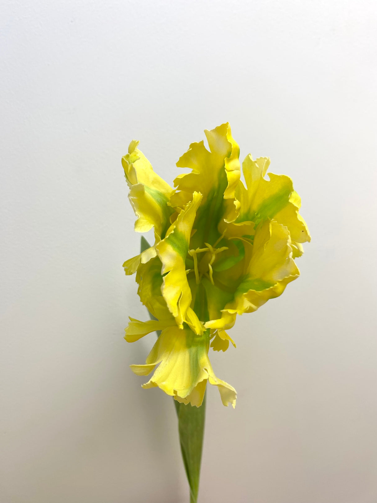 28" Yellow Parrot Tulip Spray