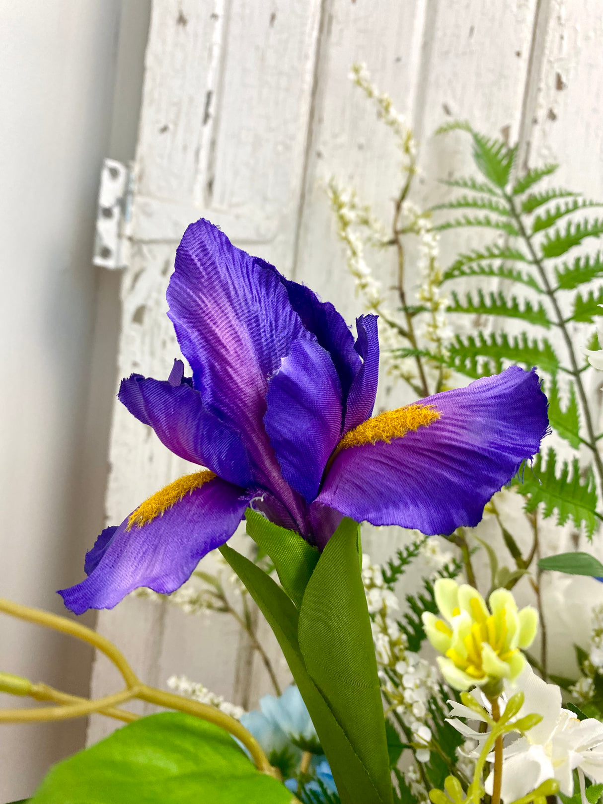 35" Violet Morning Mist