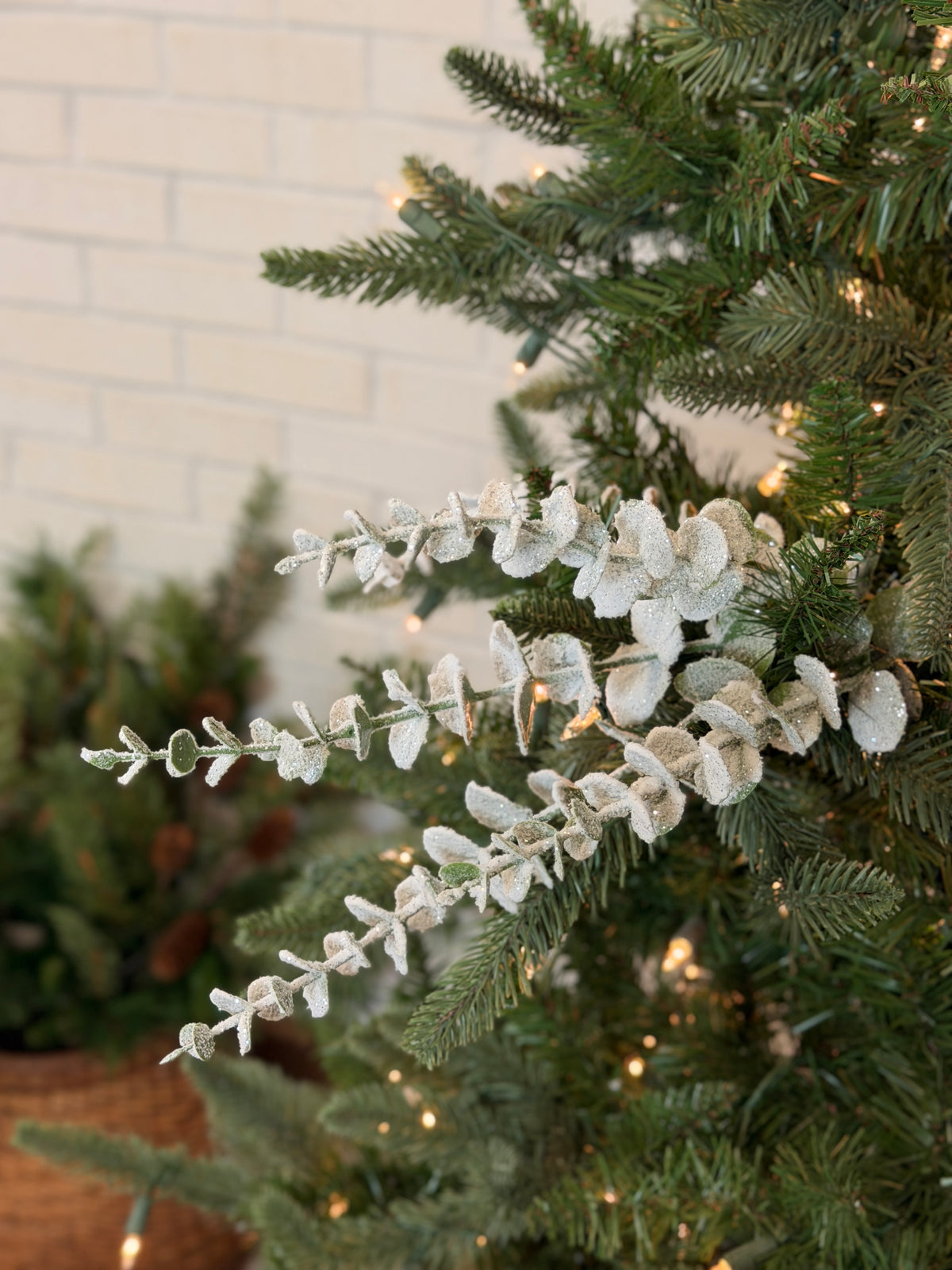 White Snowed Eucalyptus Spray