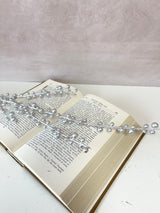 Freezing Silver Berry Stem