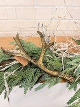 Cast Iron Antler