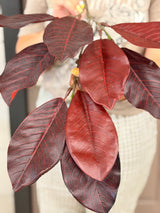 Burgundy Magnolia Leaf Spray