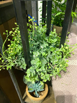 12" Boxwood Half Orb