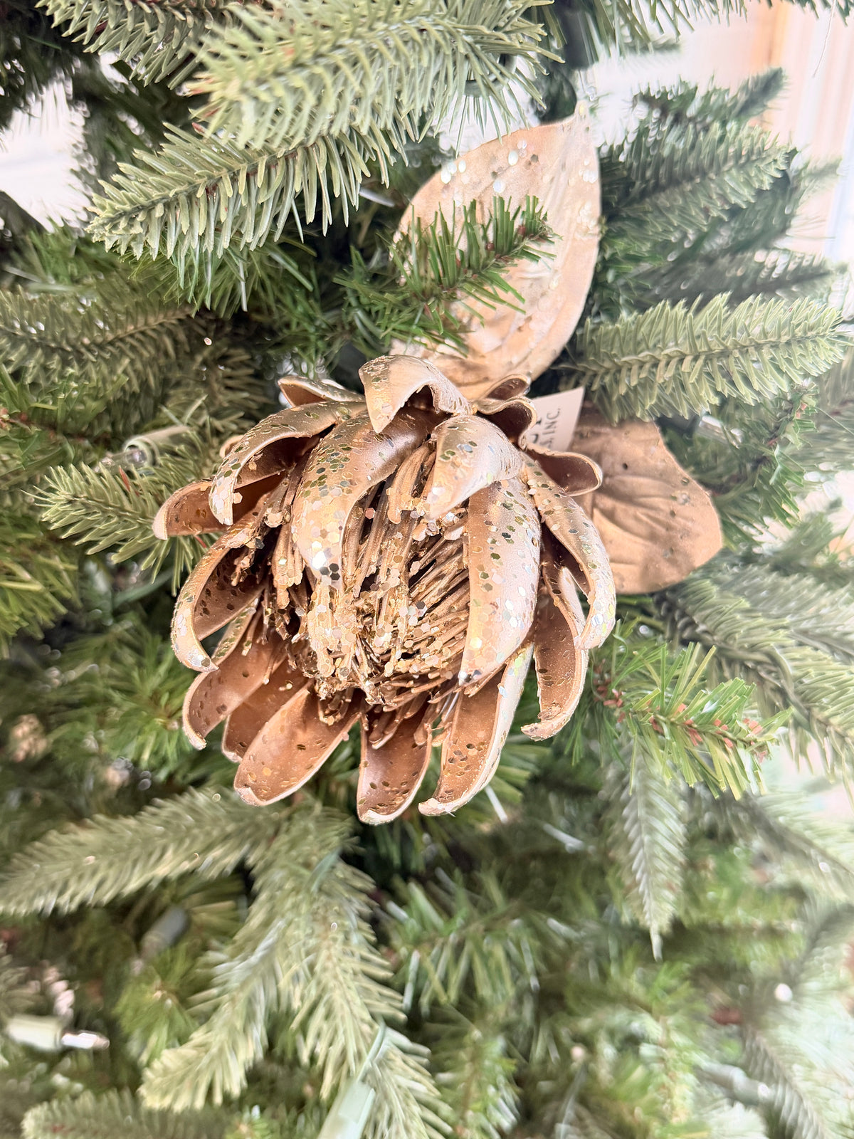 Champagne Holiday Protea