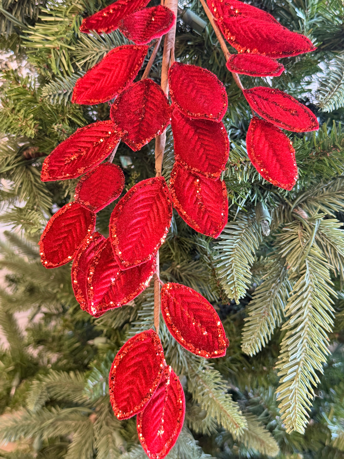 Red Flat Velvet Leaf Spray